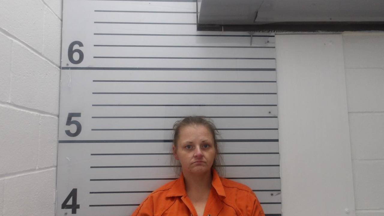 Valerie Rachelle Burleigh Charged with Trafficking Cds; Possession of Cds; Supplemental Crimes Act