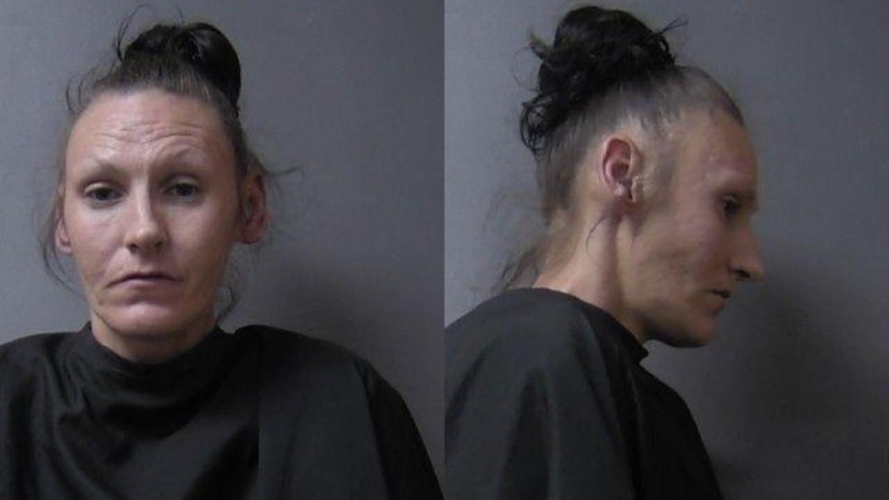 Howard, Jamie Lea charged with Contributing to delinquency of a minor; Neglect of dependant