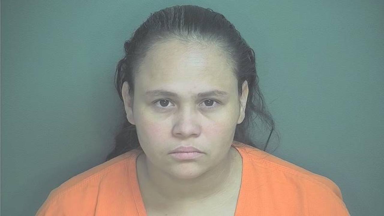 Lesly Roxany Meza Argueta charged with 35-44.1-2-4(a) : False Identity Statement : A : M; 9-24-18-1 : Operating a Motor Vehicle Without Ever Receiving a License - same as 659 but def. has a prior unrelated conviction under this section : A : M