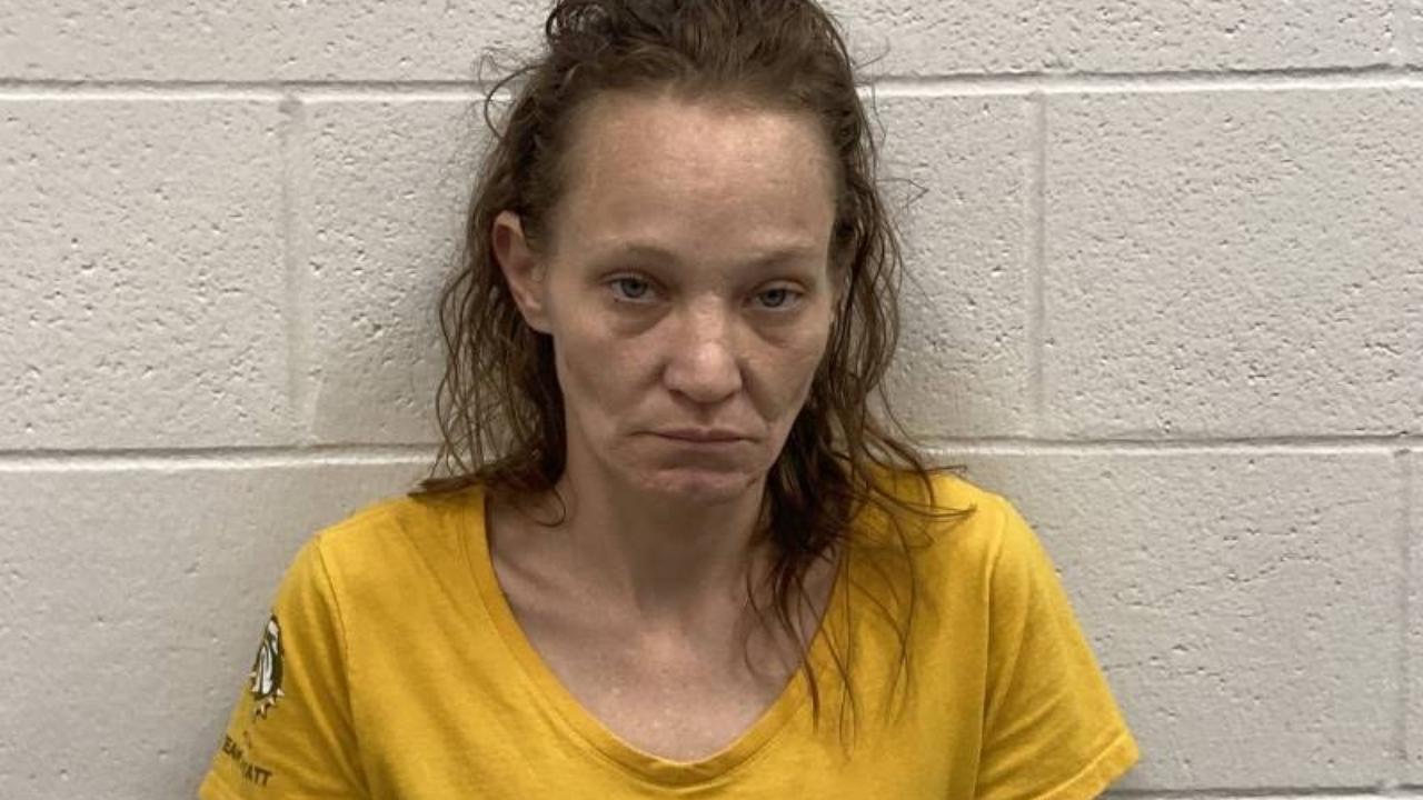 Heather Michelle Lohbeck Charged with Operating on Suspended/Revoked Operators License; Rim or Frame Obscuring Lettering or Decal on Plate; Poss Cont Sub, 1ST Degree, 1ST Off (Methamphetamine); Poss Cont Sub, 1ST Degree, 1ST Offense - Cocaine; Drug Paraphernalia - Buy/Possess; Serving Warrant (for Other Police Agency)