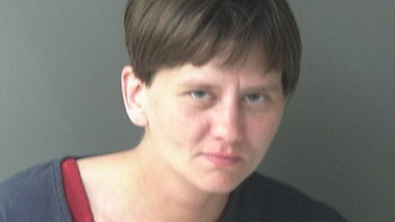 Elisha Marie Ames charged with Warrant Service; Burglary, Resid, Att Forc Ent; Theft, Vehicle: Automobile