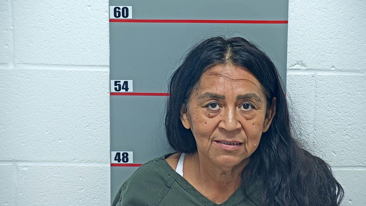 Gonzales-Landero, Clara Charged with Us Department of Homeland Security / Ice