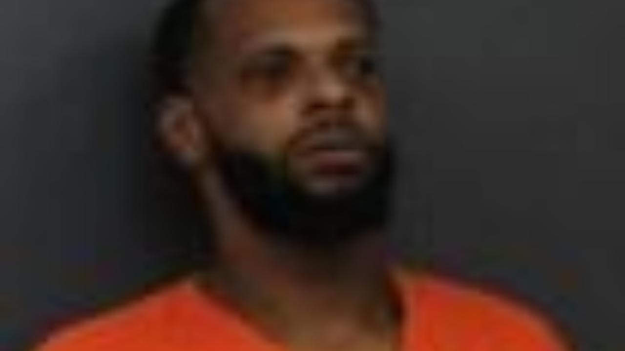 Lanehart, Ledale C Charged with Rico Jail - Mittimus (Sentenced)