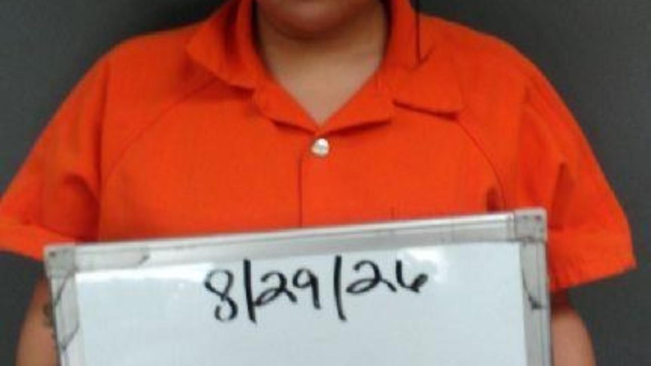 reyes-herrera, evelyn charged with Ice Hold*