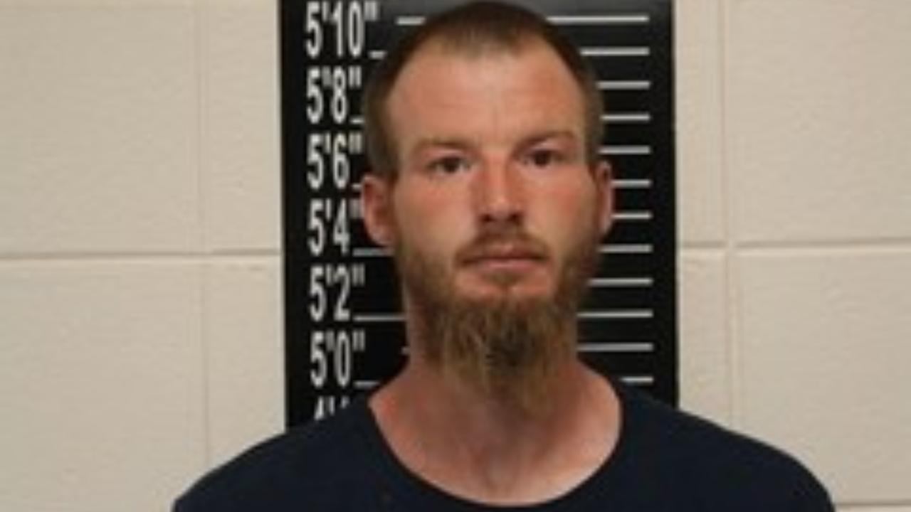 Brownlee, Devin Dakota charged with DOMESTIC ASSAULT - 3RD DEGREE