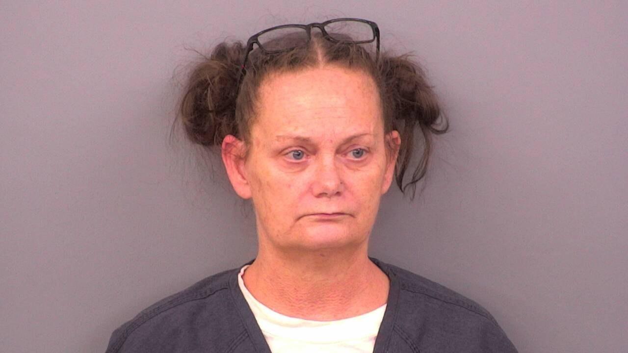 Kimberly Faye Clinard Charged with 251741 - Prisoner Transport; 251746 - Failure to Appear (Misdemeanor)
