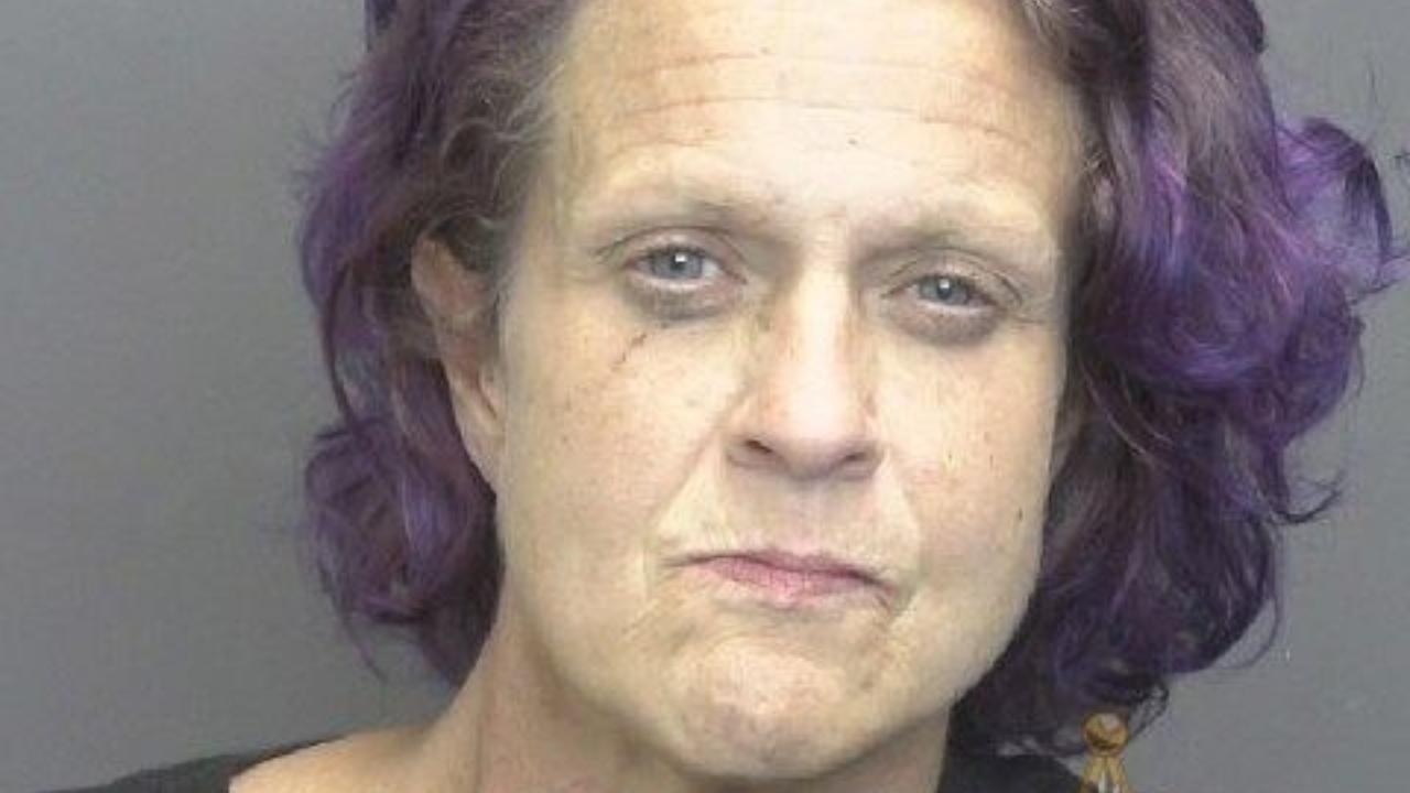 Elizabeth Lane Johns Charged with Domestic Battery-Simple Assault
