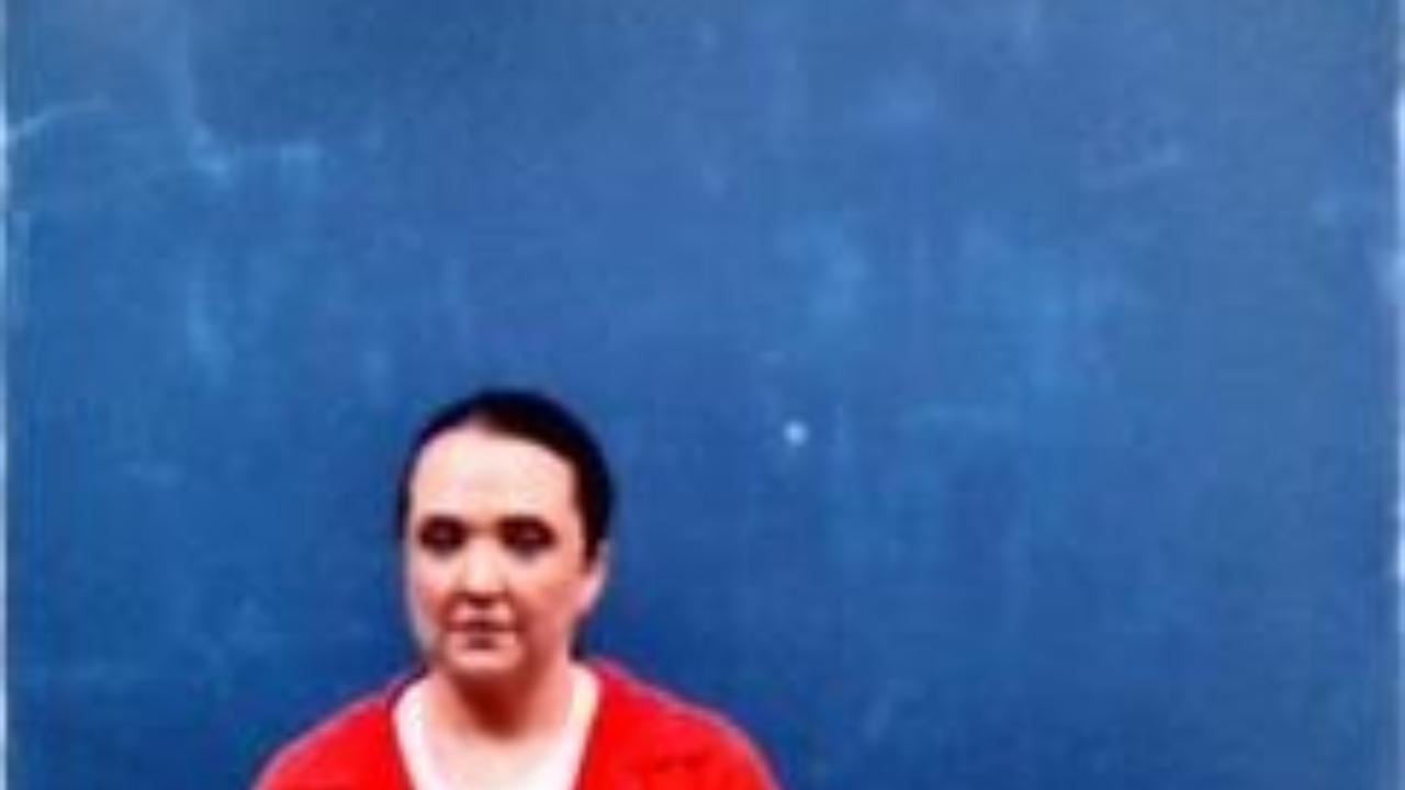 SCAIFE-DRAWNAUGH, APRIL LYNN charged with Sentenced to Serve Weekends