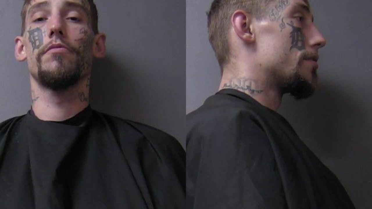 Cross, Darrien Alexander charged with Domestic battery-w/prior unrelated conviction(s)
