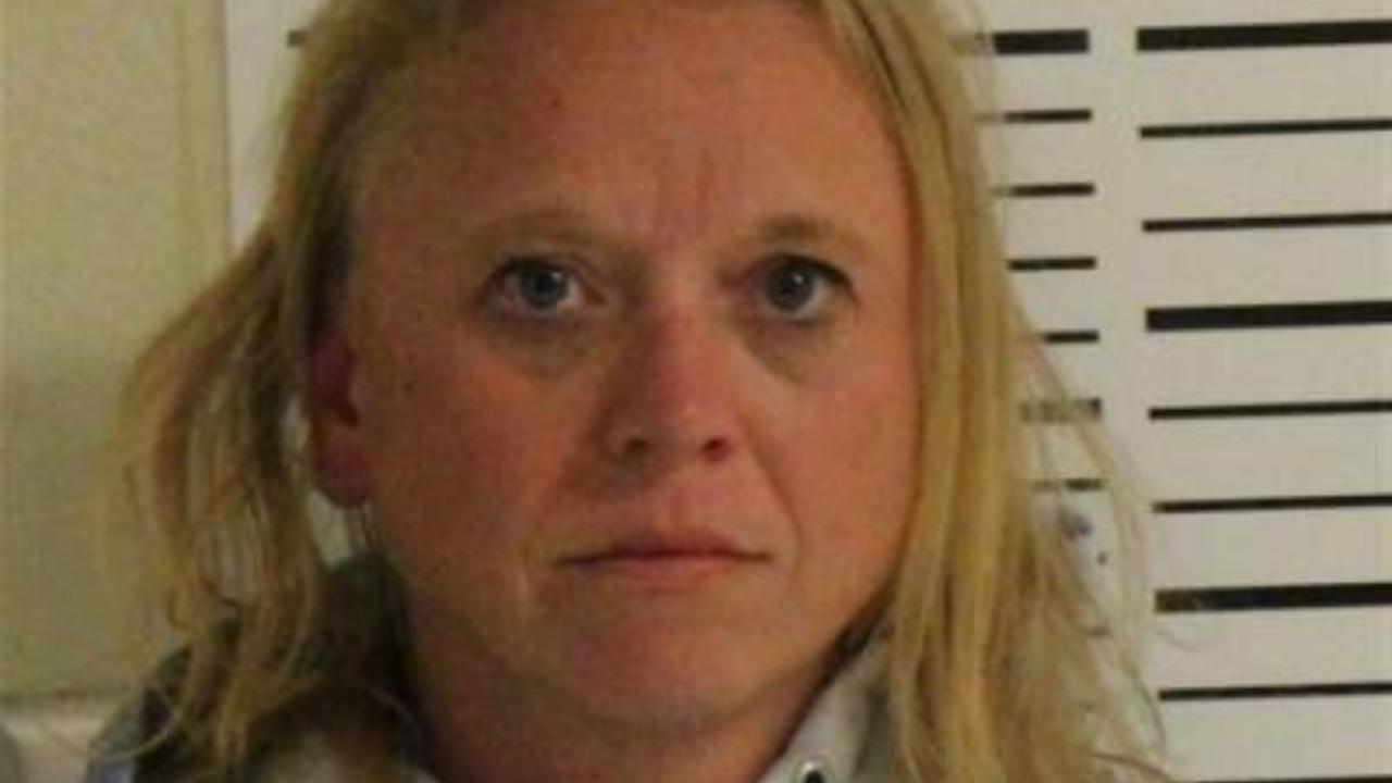 Mackenzie Lee Hayes Charged with Violation Financial Liability; No Registration; Driving Under Suspension; Driving Under Suspension; Driving While Barred; Fraudulent Use of Registration; Possession of Controlled Substance 3RD; Possession of Drug Paraphenalia; Window Viol; Theft 5TH