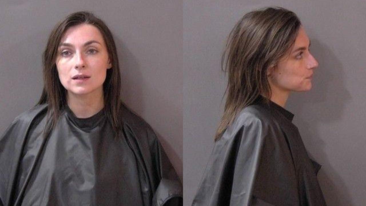 McGovern, Erin Elyse charged with Public Intoxication (alcohol/drugs): def. breaches the peace or was in imminent danger of breaching the peace; Domestic Battery basic offense