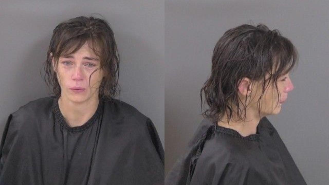 Willis, Catherine Eileen Charged with Felony Fta