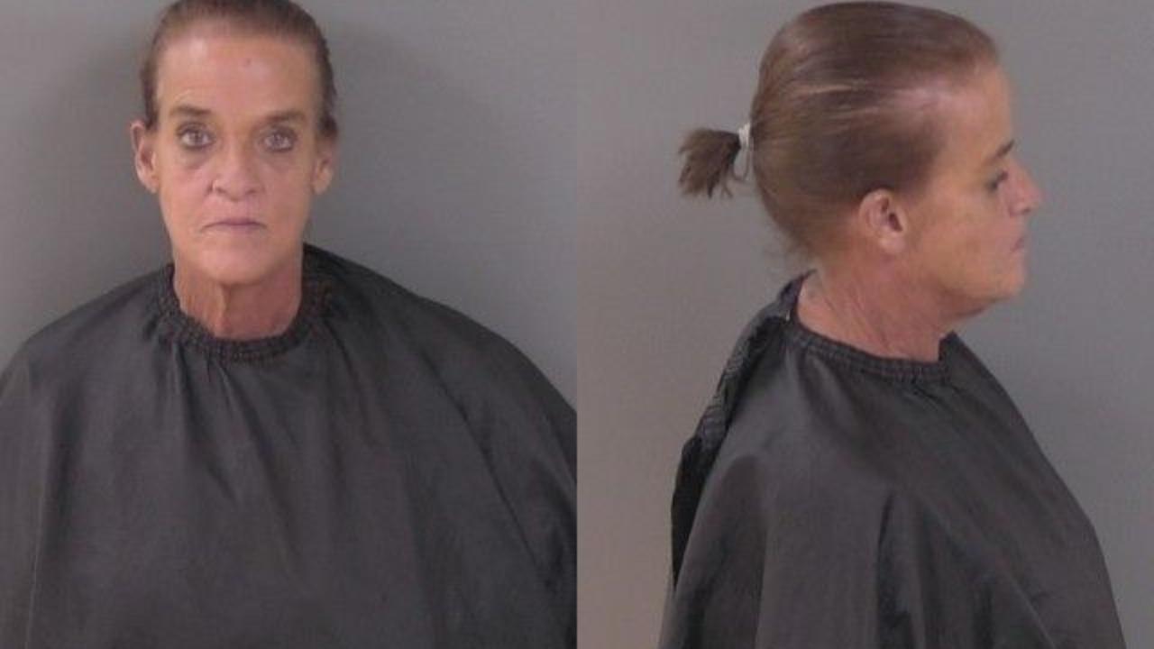 McLeod, Penny Ann Charged with Drive on Permanently Revoked Driver License; Fail to Register Motor Veh