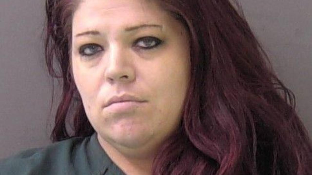 Rich, Kaitlyn Amanda Charged with PC 31.03 /Theft OF PROP>=$100<$750; PC 31.03 /Theft OF PROP>=$100<$750