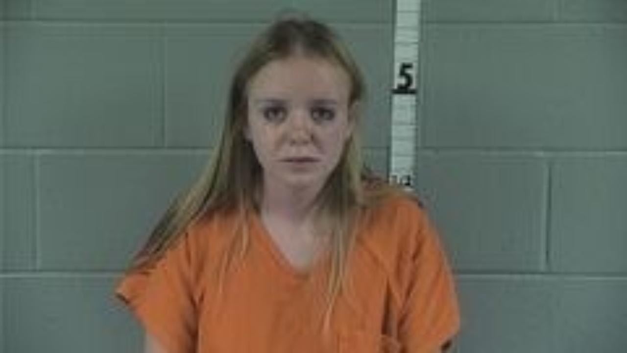 TINSLEY, LINDSAY charged with Domestic Battery Resulting in Moderate Bodily Injury