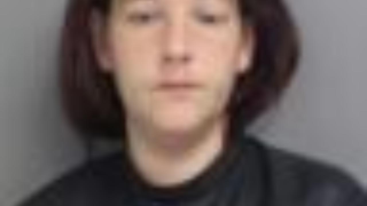 Breakfield, Felicia Marie Charged with Petty Larceny < $2000