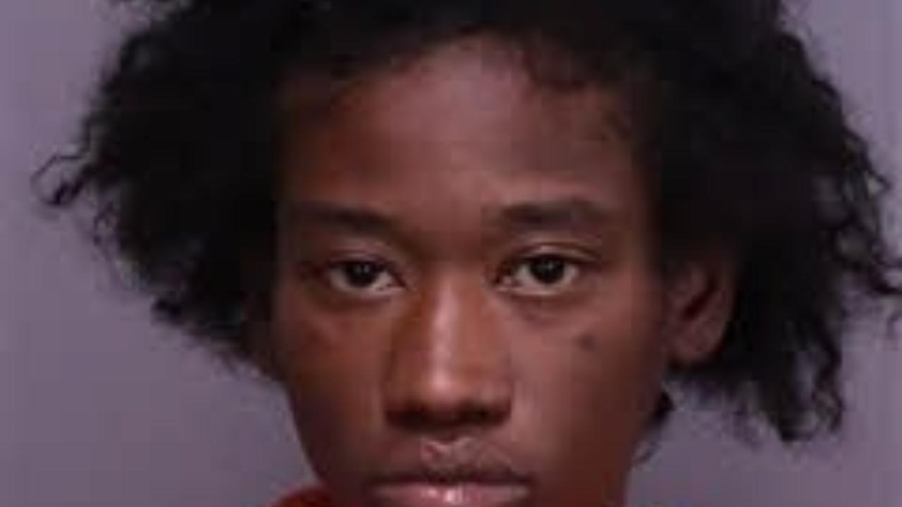 Kalaya Layasharyon Chomupkone Charged with Finantc / Financial Transaction Card Fraud - Report or Theft, Loss or Non-Receipt; Petit or Simple Larceny $2000 or Less