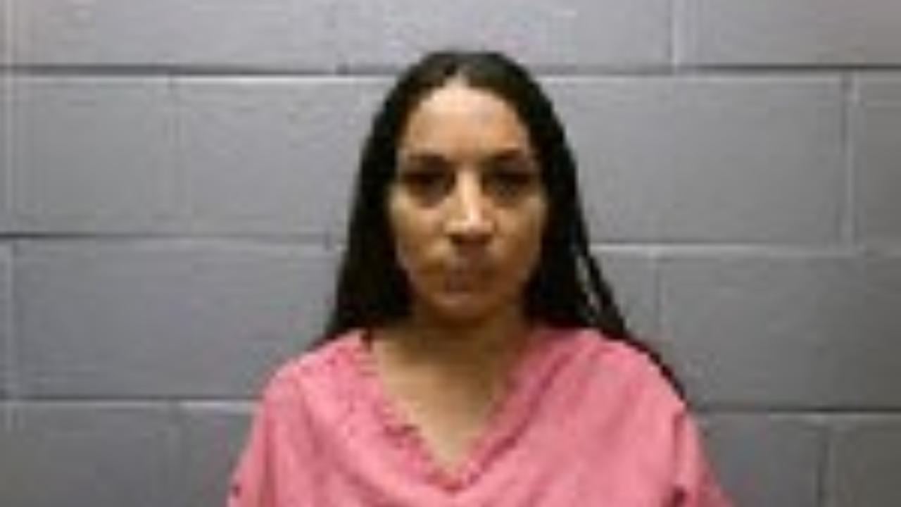 Brittany Ciera Chavis Charged with Wfa M Resisting Piblic Officer M Second Deg Trespass Curtilage