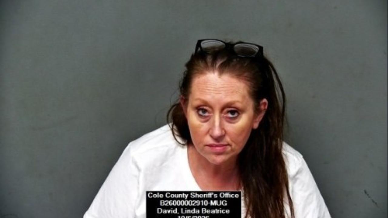 Linda Beatrice David charged with 579.015-001Y202235 Possession Of Controlled Substance (F): STAT