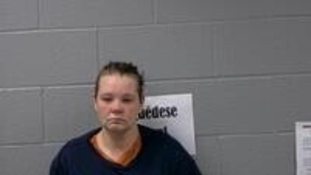 Breeana L McCloud Charged with Domestic Battering in the Third Degree