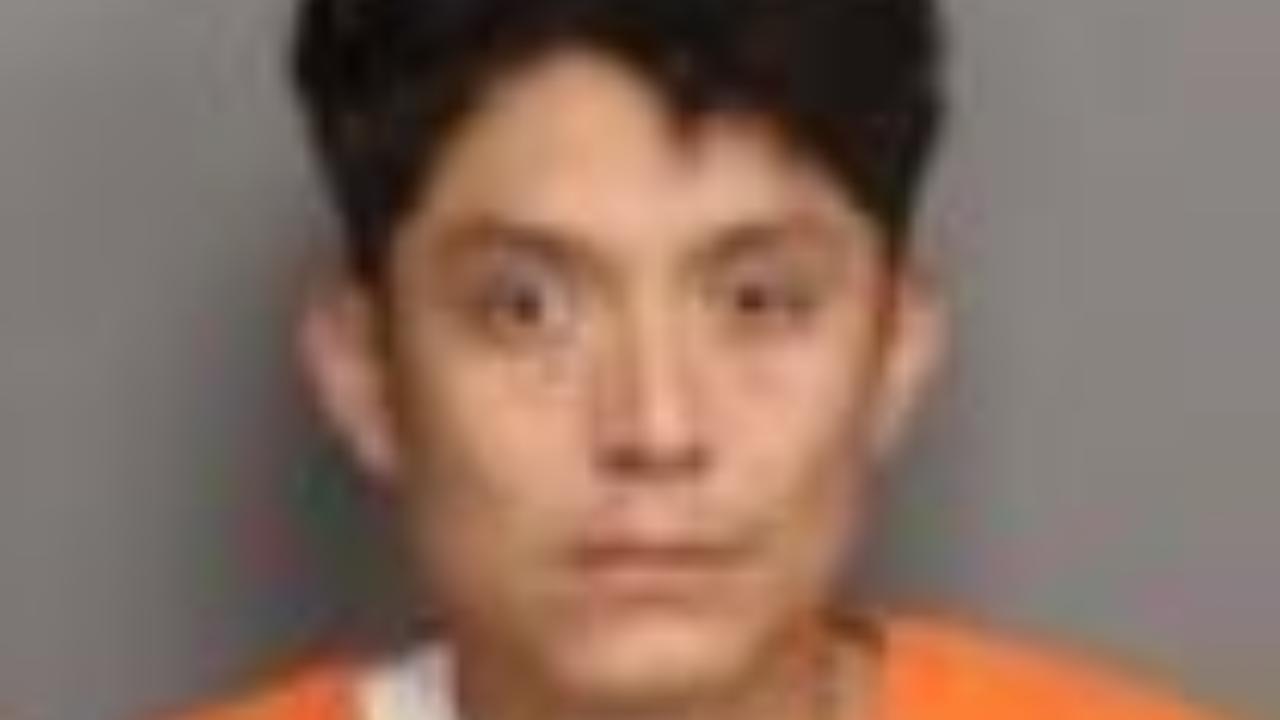 MARTINEZ CRUZ, LUIS ANGEL charged with 701 - Traffic / Driving without a license - 1st offense; Hold for Other Agency - Hold for Other Agency