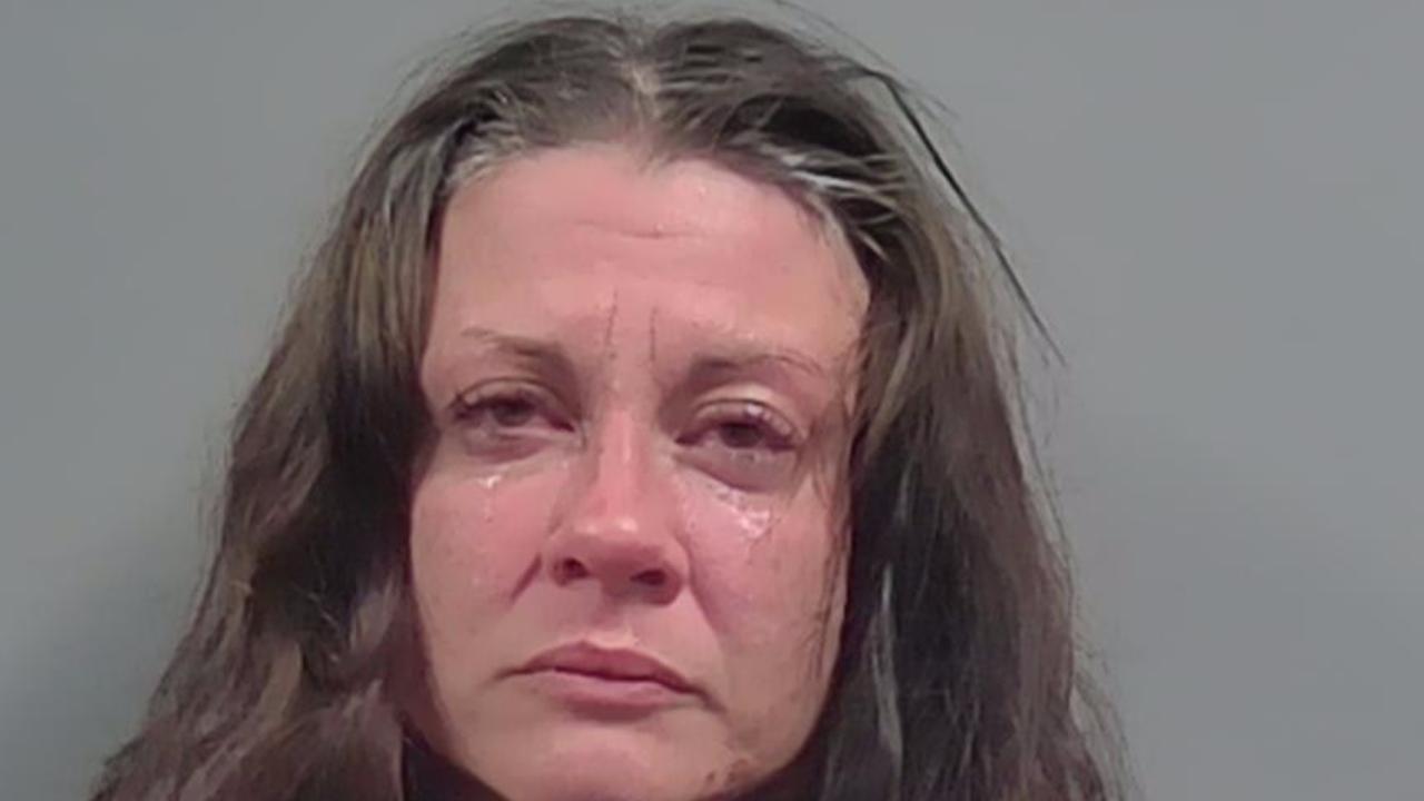 Odell, Rachel Dawn Charged with Larc; Damage Prop-Crim Misch; Burgl