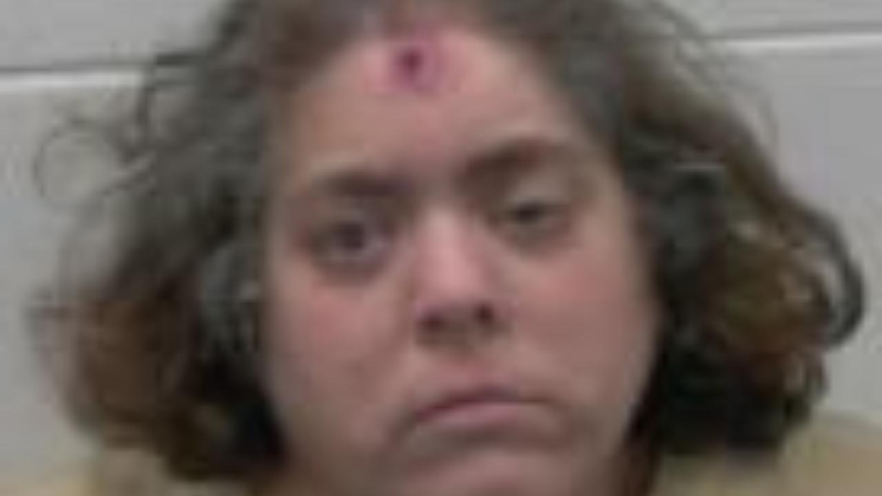 Therrien, Brenda Lea Charged with Criminal Trespass - 692 (E); Violating Conditions of Release - 9632 (E)