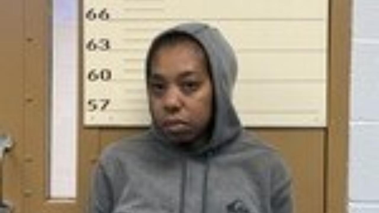 Francheska M Bishop Charged with Contempt of Court. 10 Day Hold