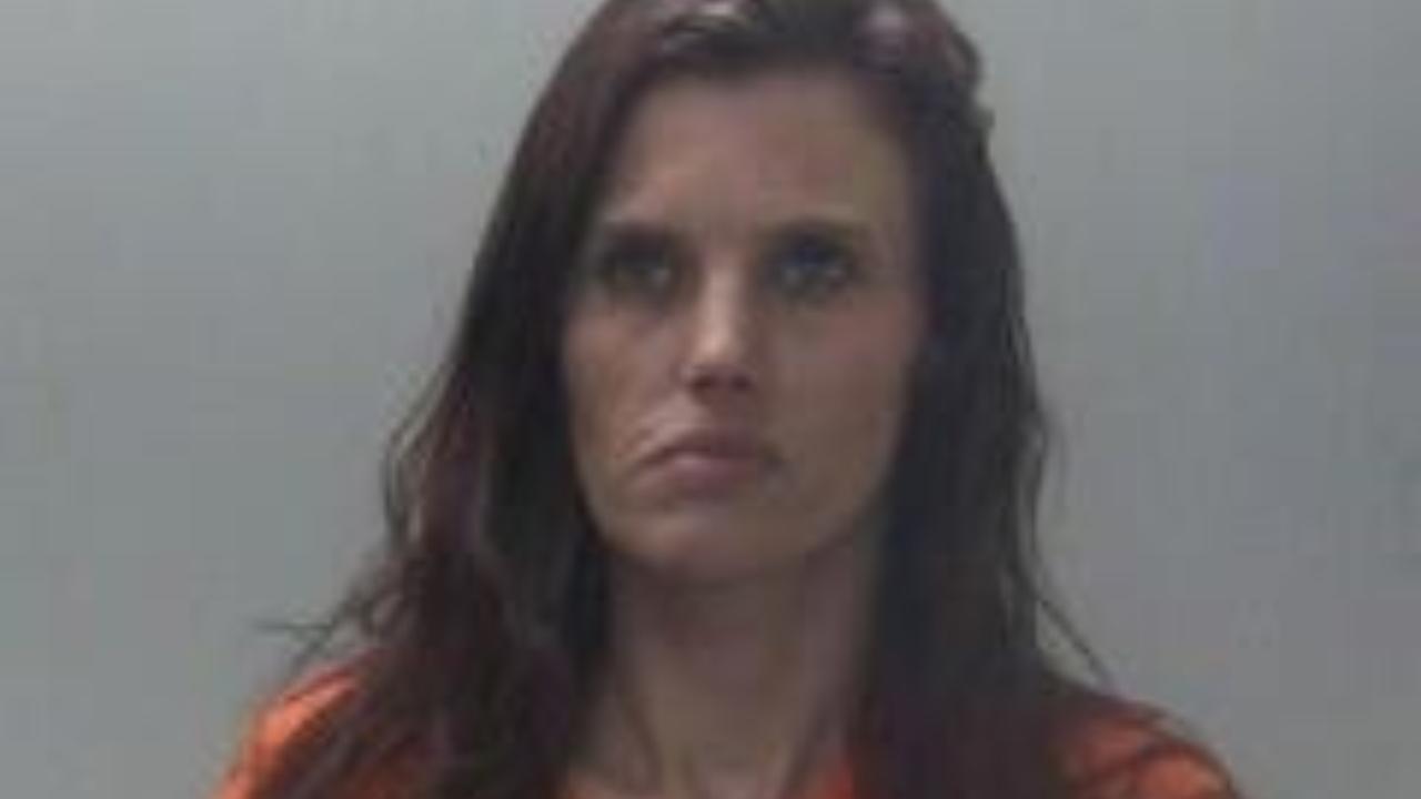 Shotlander, Elena K Booked