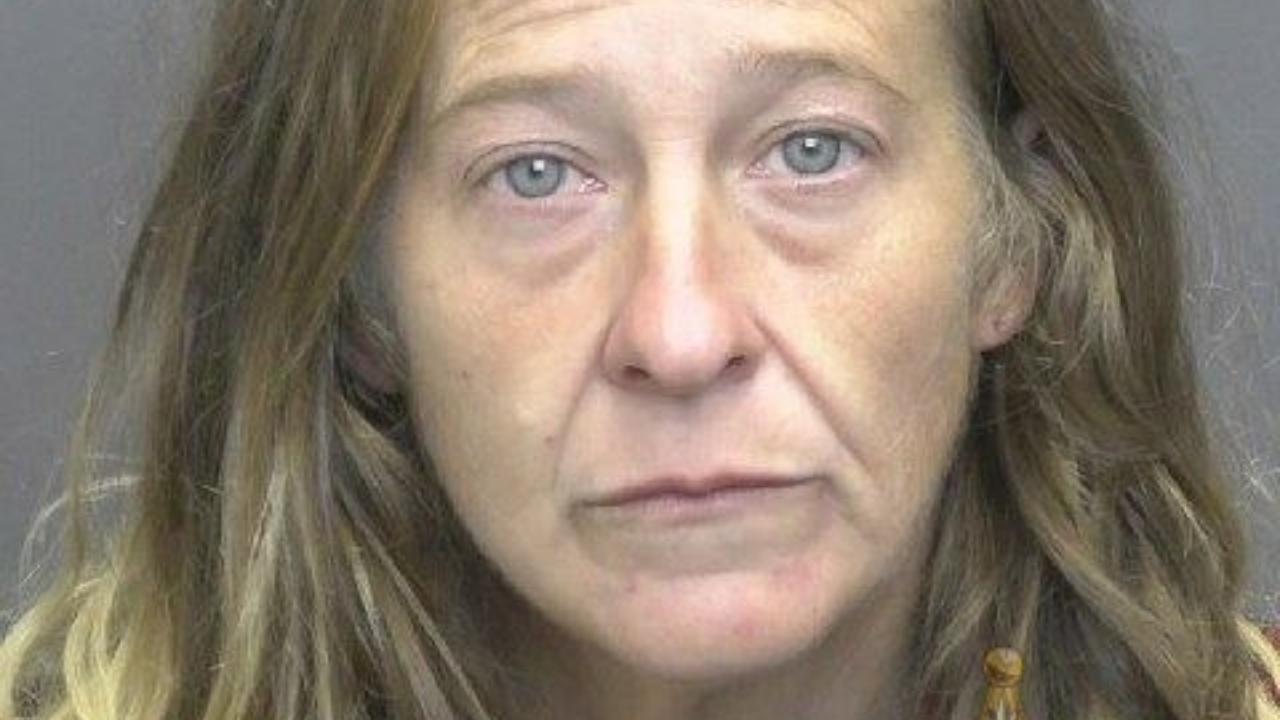 Evanne De Gray Charged with Controlled Substance- Possess Methamphetamine; Health- Possess Hypodermic Syringe or Needle; Controlled Substance- Possess Paraphernalia; Controlled Substance- Possess Cocaine or Narcotic Drug
