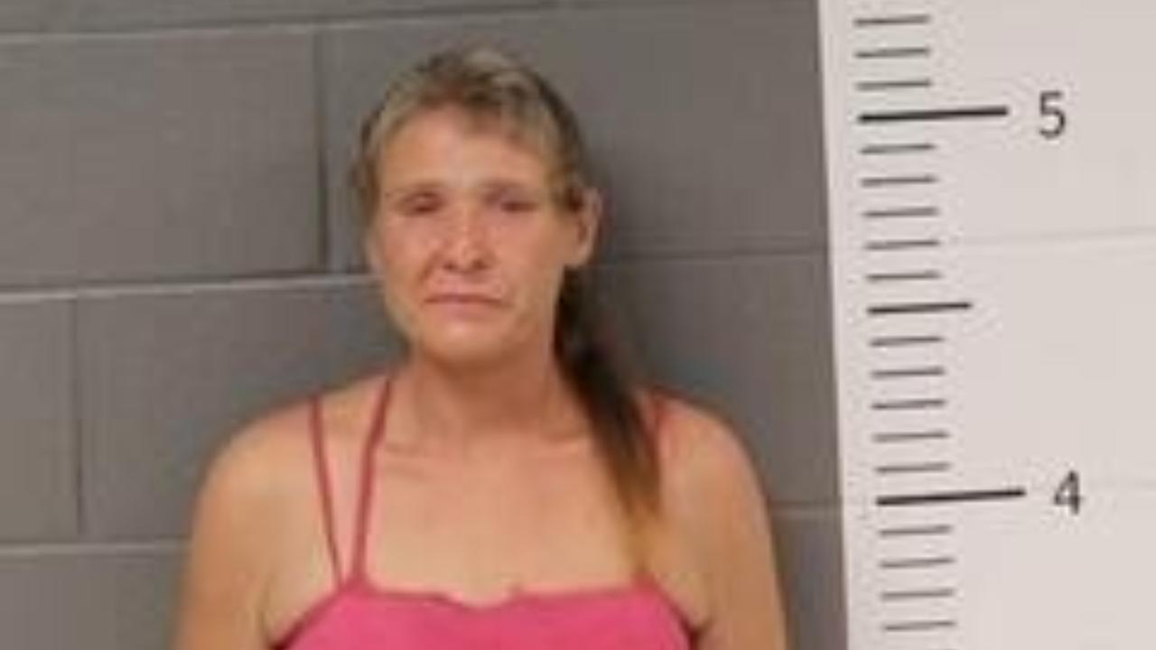 Angela Kelly Charged with Failure to Appear Theft of Property 1ST