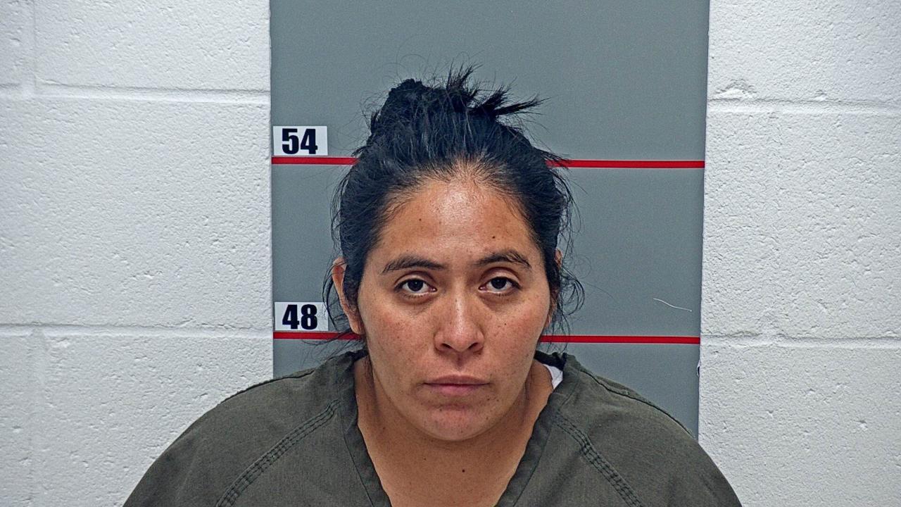 Lorenzo-Juan, Elena Charged with Us Department of Homeland Security / Ice