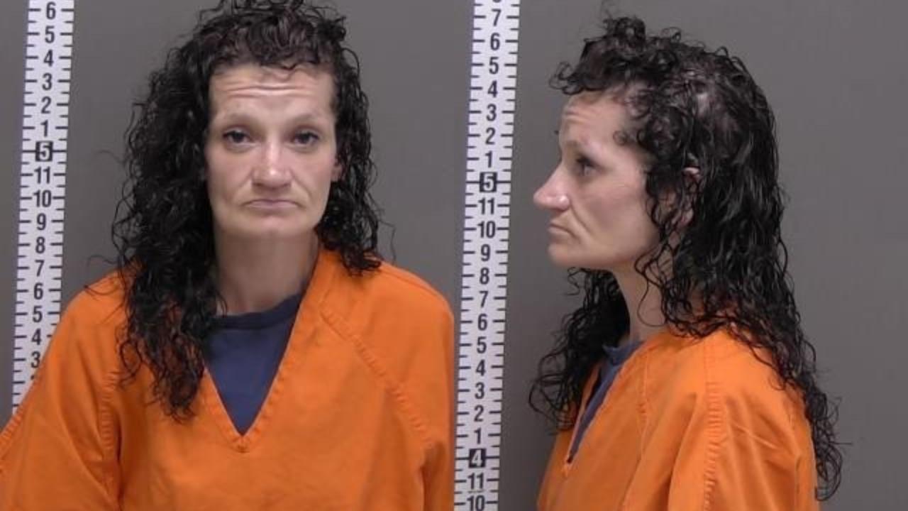 SARAH HOSELTON charged with Unlawful possession of drug paraphernalia-Use-SI, SII, SIII; Poss of CS-Methamphetamine (MA)