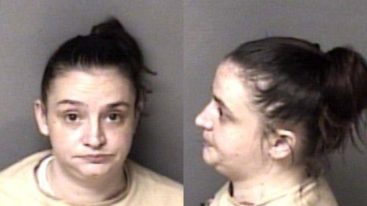 Summey, Taylor Elizabeth charged with Failure to Appear, Misdemeanor; Failure to Appear, Misdemeanor; Larceny, Misdemeanor