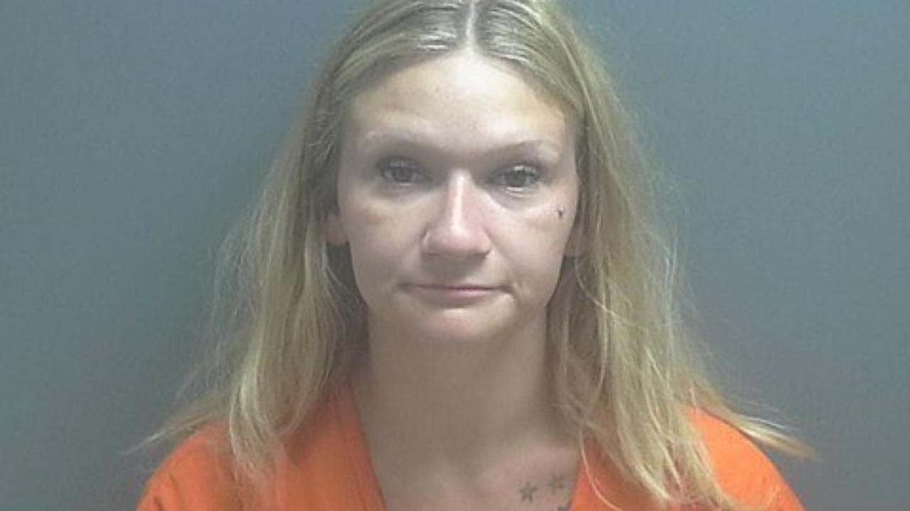 Houglin, Laicee Nicole Charged with Controlled Substance- Dealing Methamphetamine (Conspiracy)