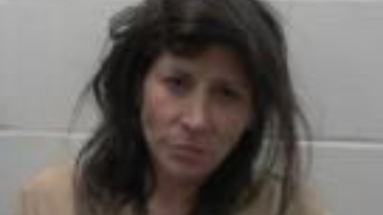Bourret, Angela Marie Charged with Criminal Threatening, 2 Priors - 4256 (D)