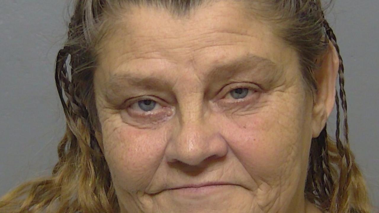 Gardner, Violet Rose Charged with Larc Petit Theft 2ND Degree 3RD Subsq Offense