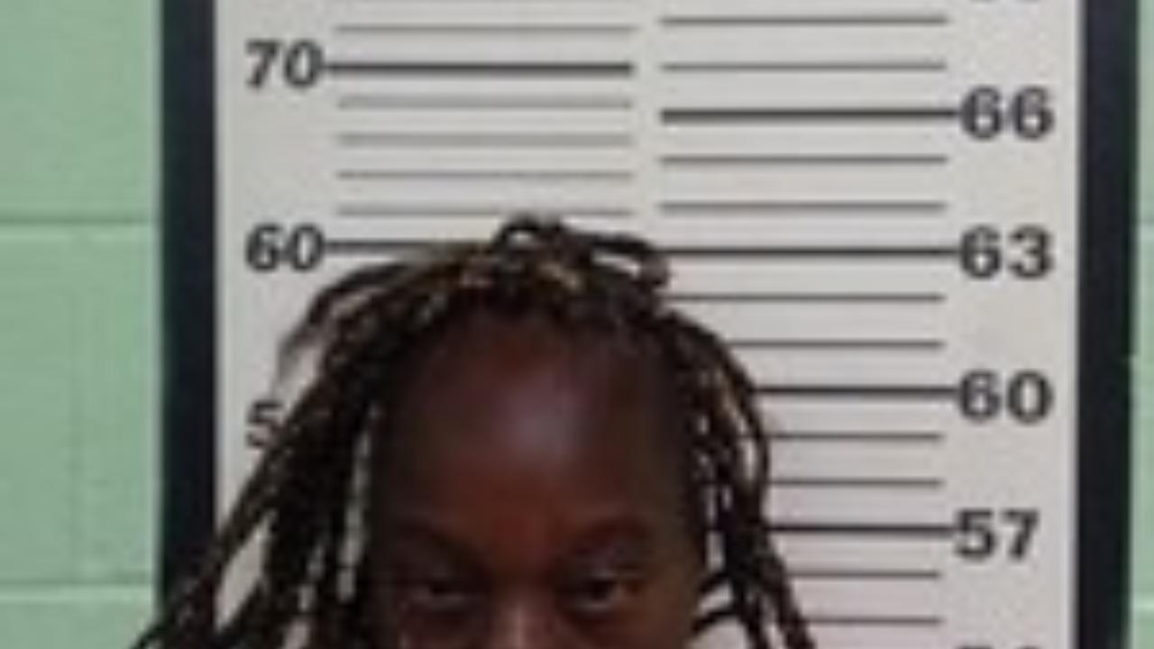 Heath, Jennifer Charged with Disorderly Conduct; Failure to Comply/Unknown; Resisting Arrest