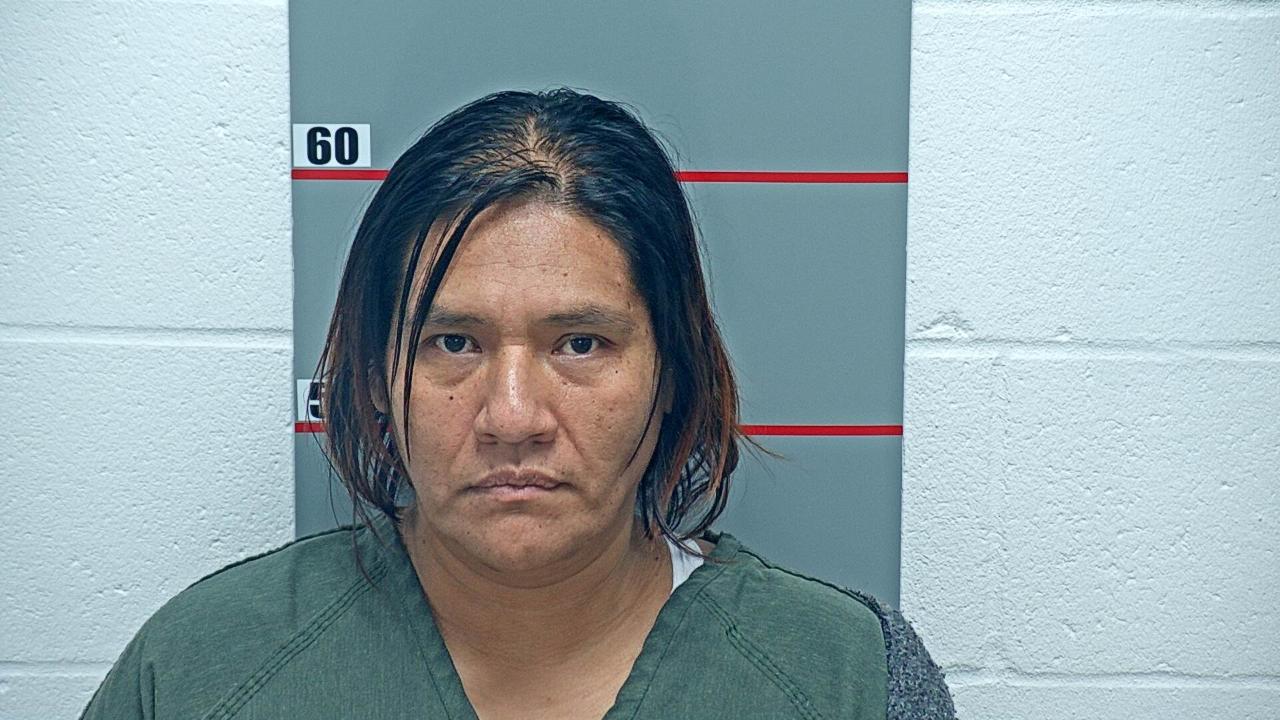 Raymundo Mena, Celia Isabel Charged with Us Department of Homeland Security / Ice