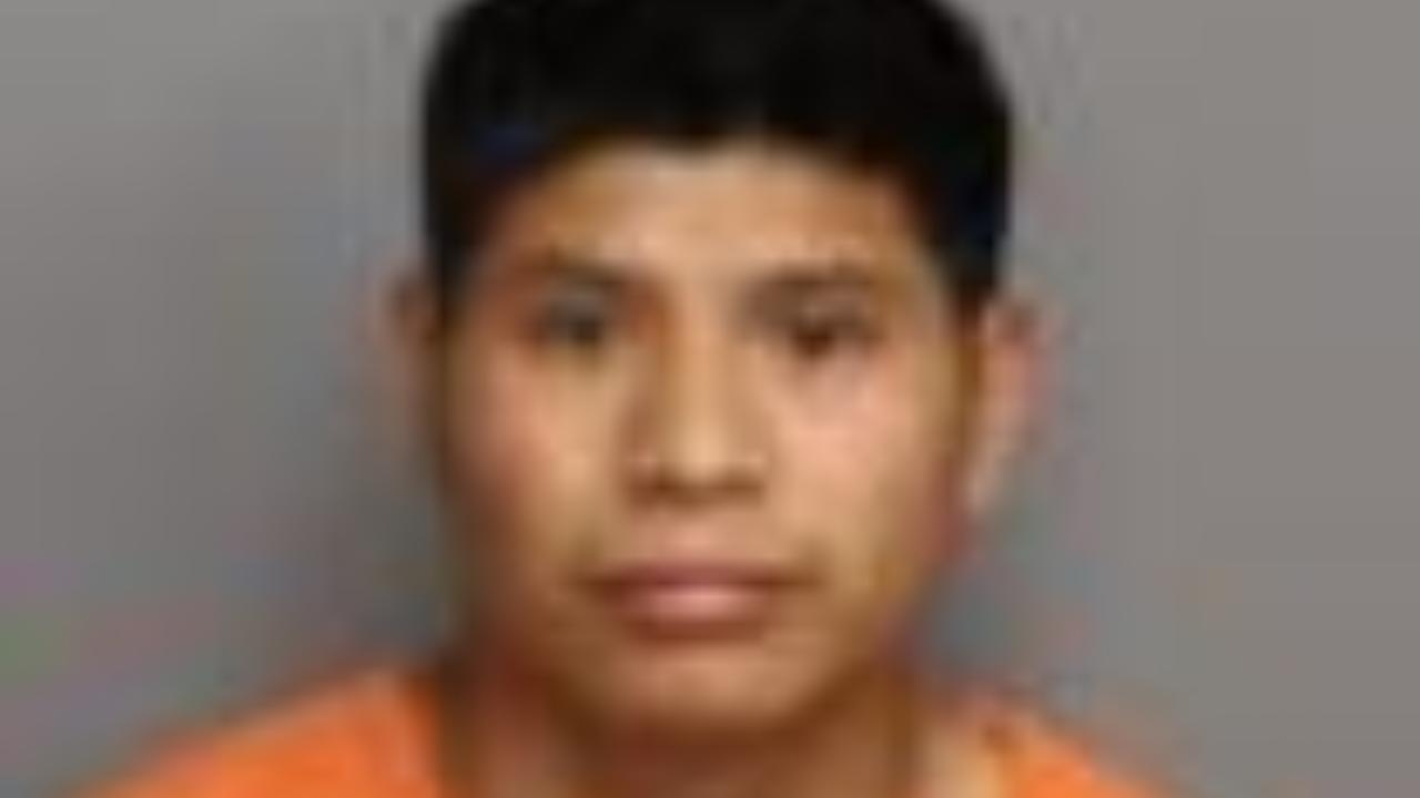 LUCAS, MATEO TORREZ charged with 701 - Traffic / Driving without a license - 1st offense