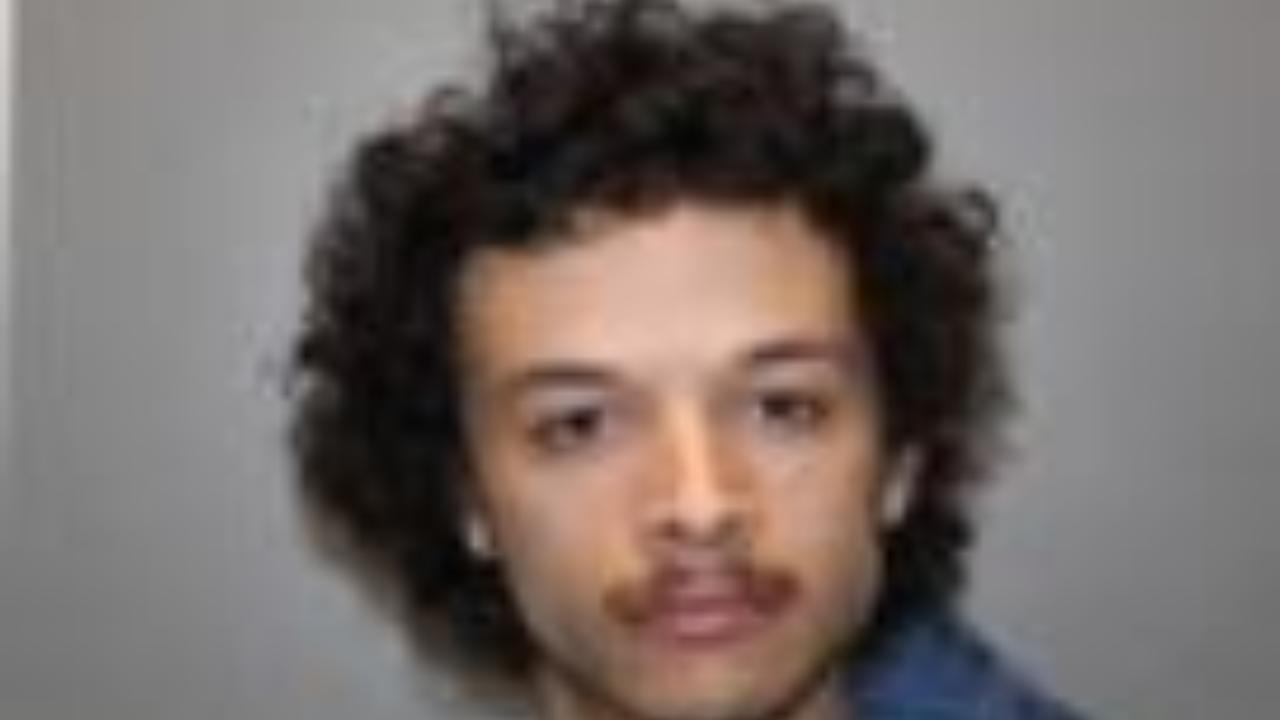 Hegemann, Phoenix Logan Booked