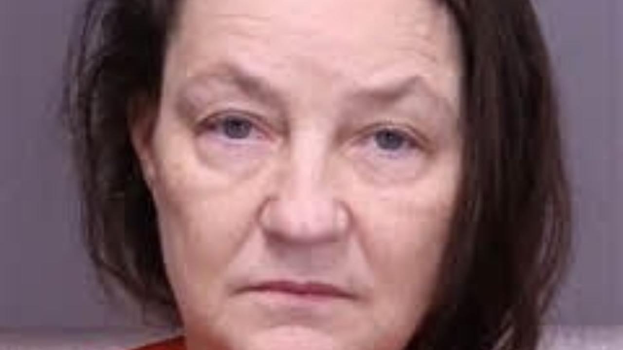 Lesley Anna Cooley Charged with Resisting / Resisting Arrest; Oppose, Resist, or Assault Law Enforcement Officer Serving Process; Resisting / Assault, Beat, or Wound Police Serving Process or While Resisting Arrest; Resisting / Assault, Beat, or Wound Police Serving Process or While Resisting Arrest