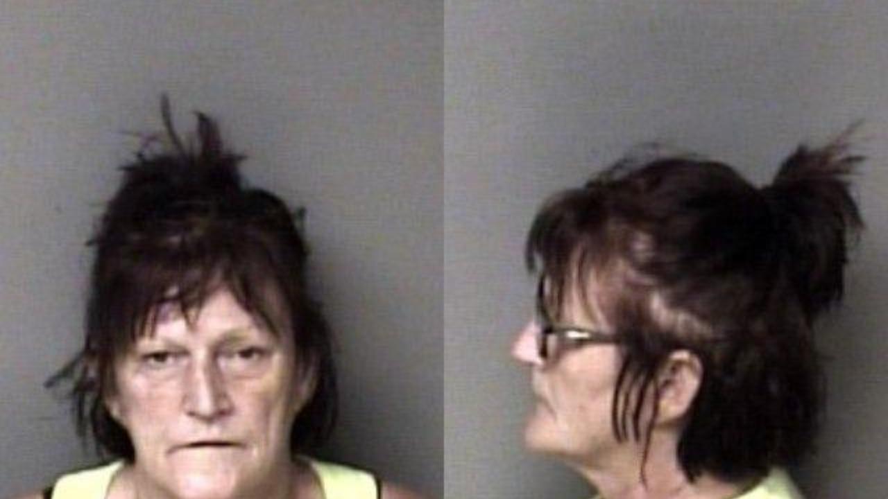 Peterson, Tonya Christine charged with Awdwik; Resist Public Officer