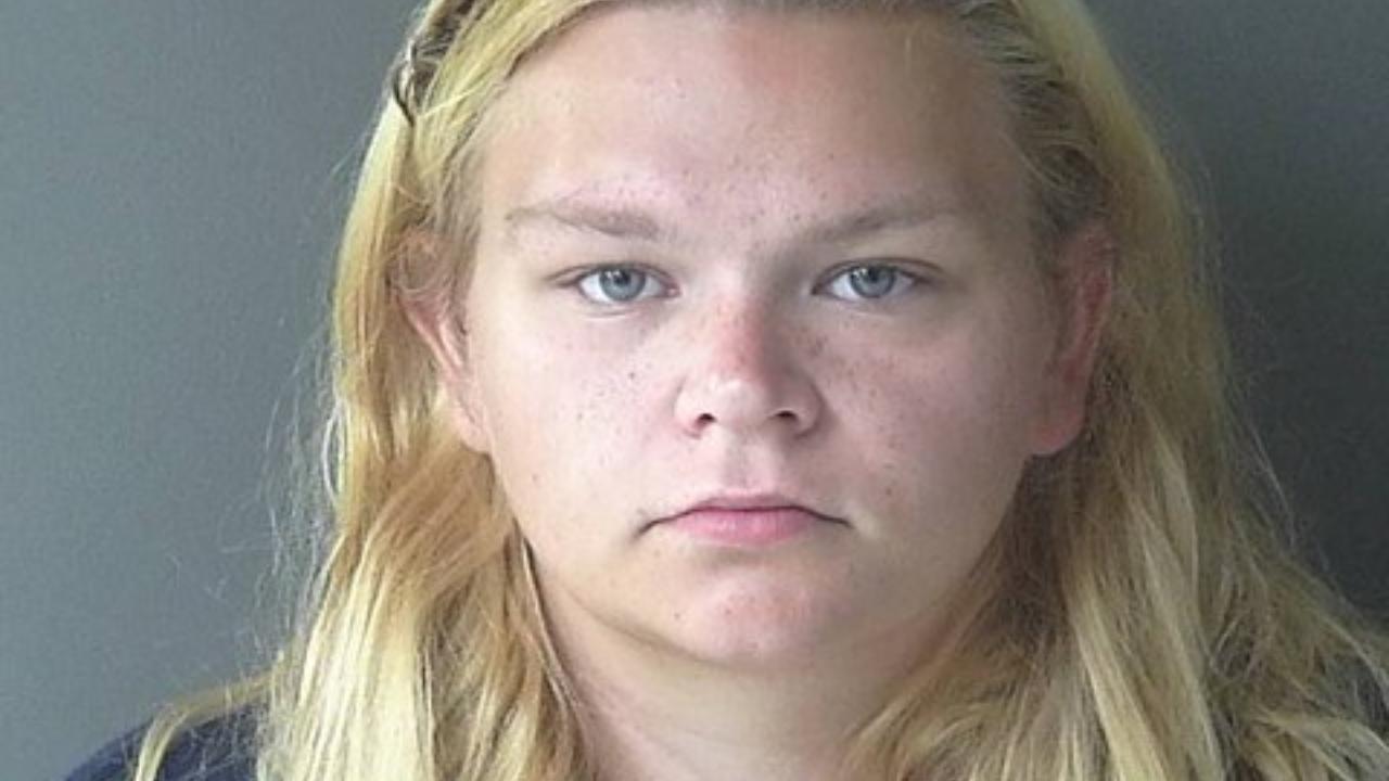 Tamara Lynne Richards charged with False Pretenses/Swindle/Confid; False Pretenses/Swindle/Confid; Theft, Property, Shoplifting; All Other Offenses